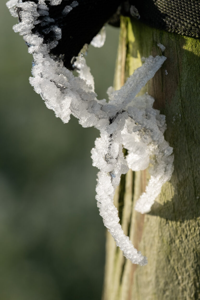 Julia Zimmermann photography frost