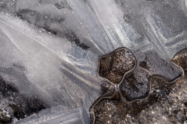 Julia Zimmermann photography frost
