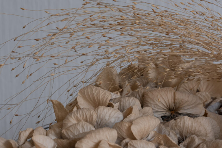 Julia Zimmermann photography gone