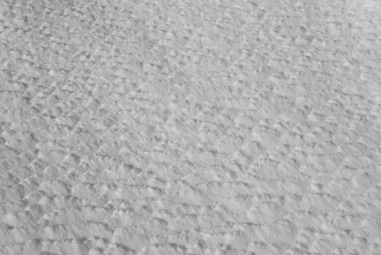 Julia Zimmermann photography pattern