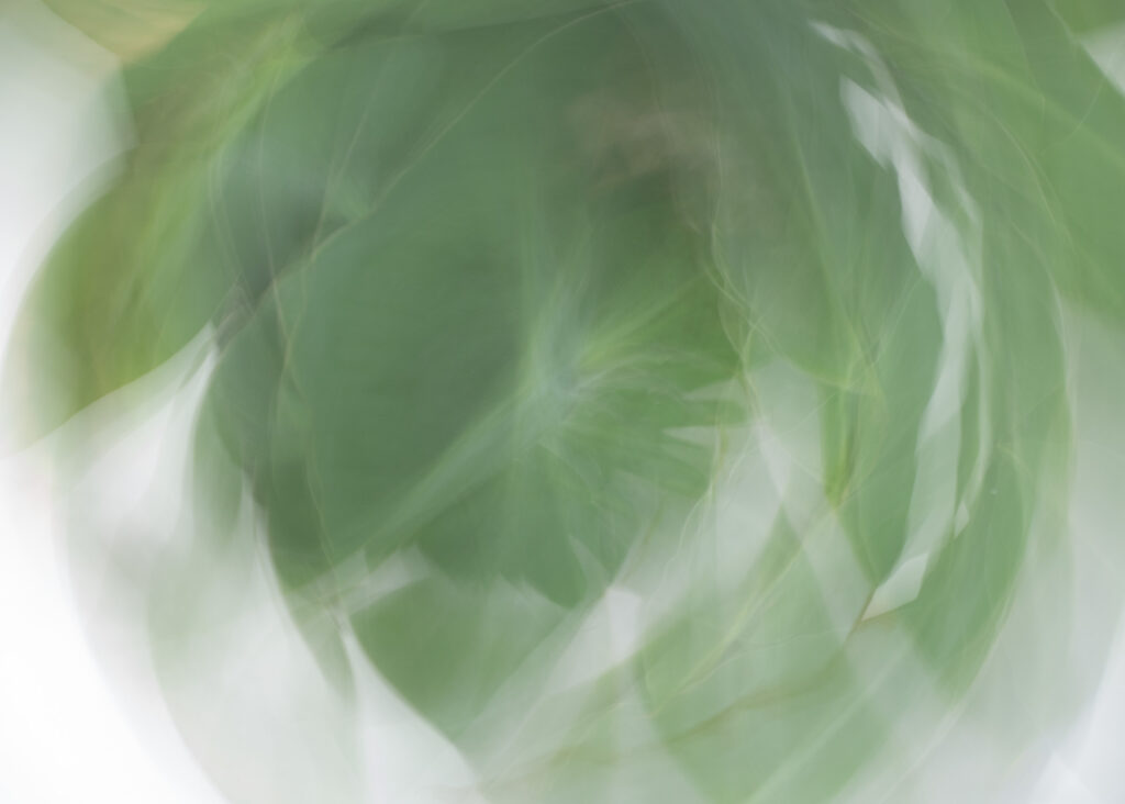 Julia Zimmermann photography ICM