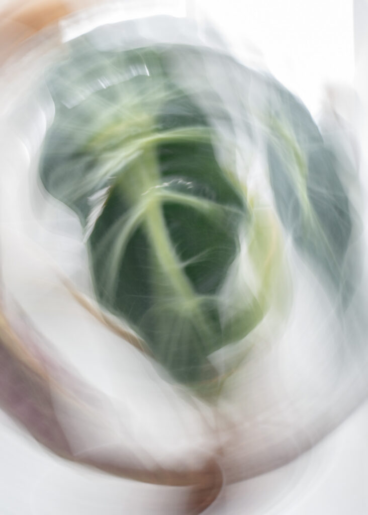 Julia Zimmermann photography ICM