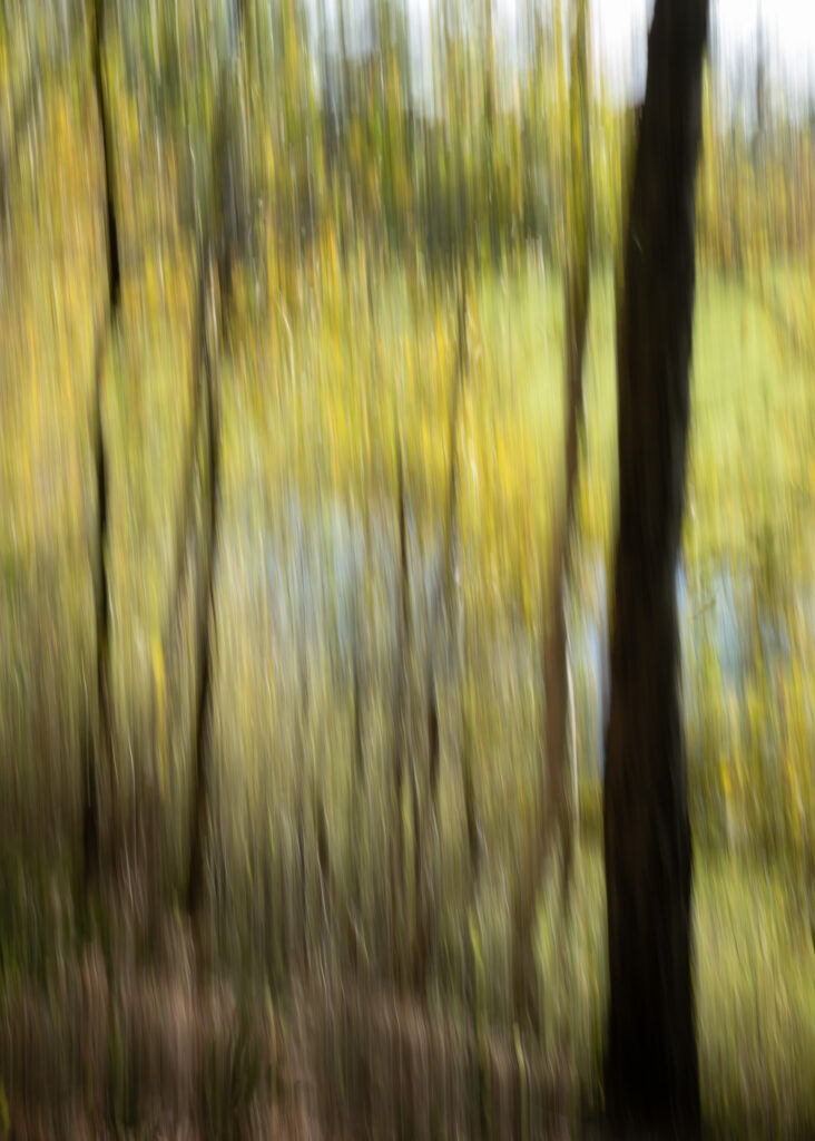 Julia Zimmermann photography ICM