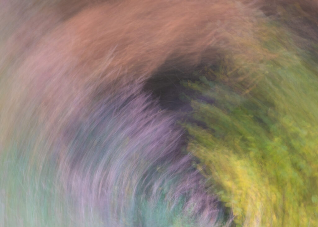 Julia Zimmermann photography ICM