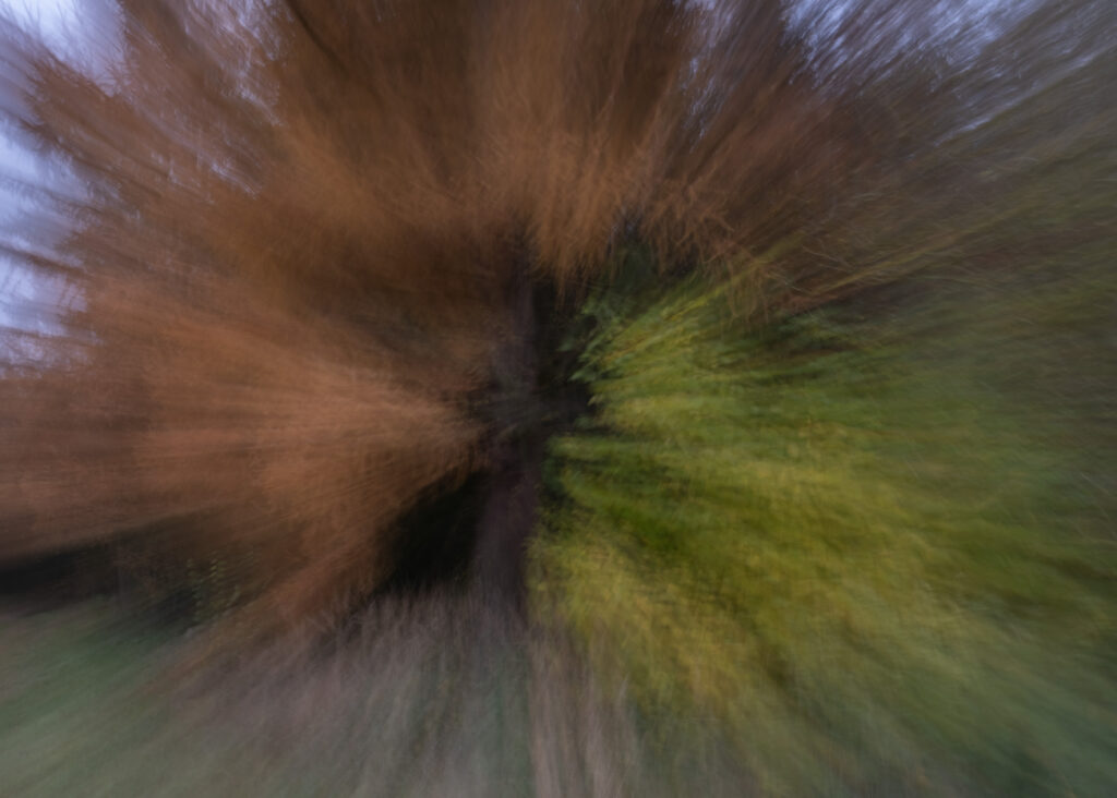 Julia Zimmermann photography ICM