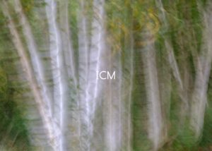 Julia Zimmermann photography ICM