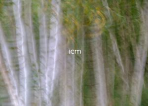 Julia Zimmermann photography ICM