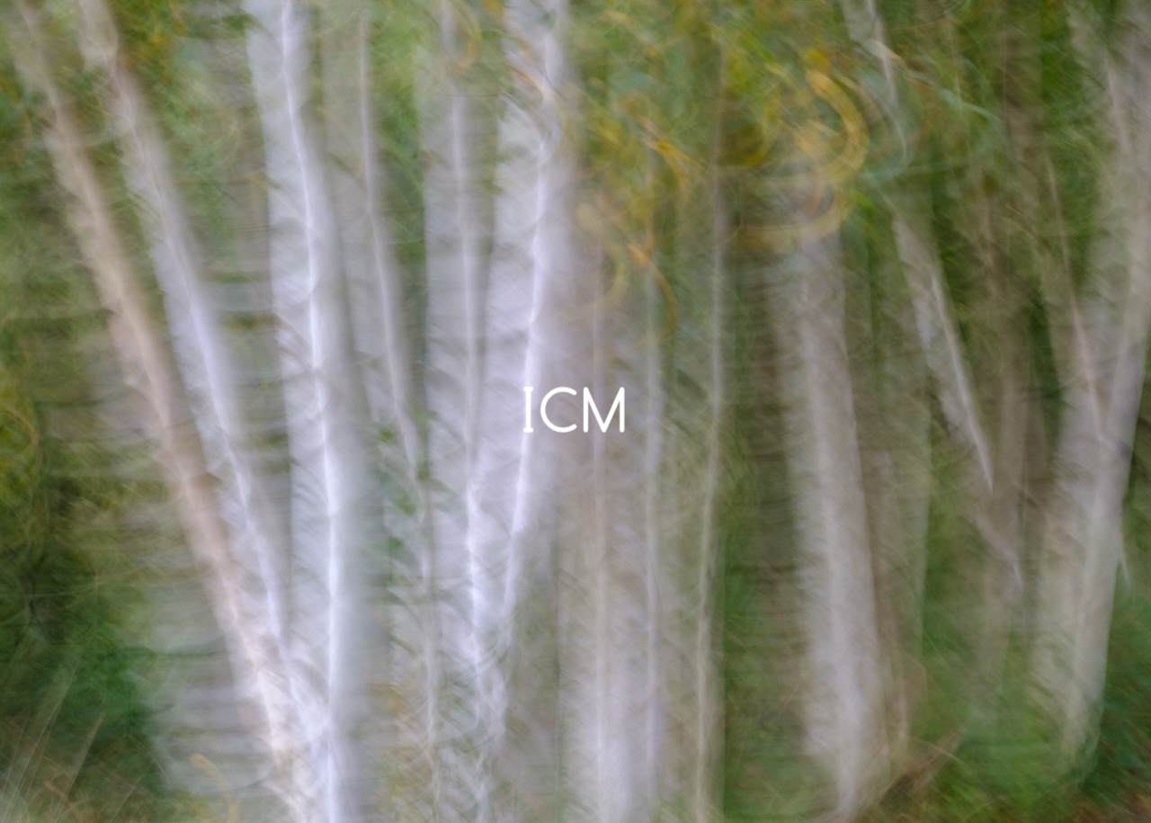 ICM