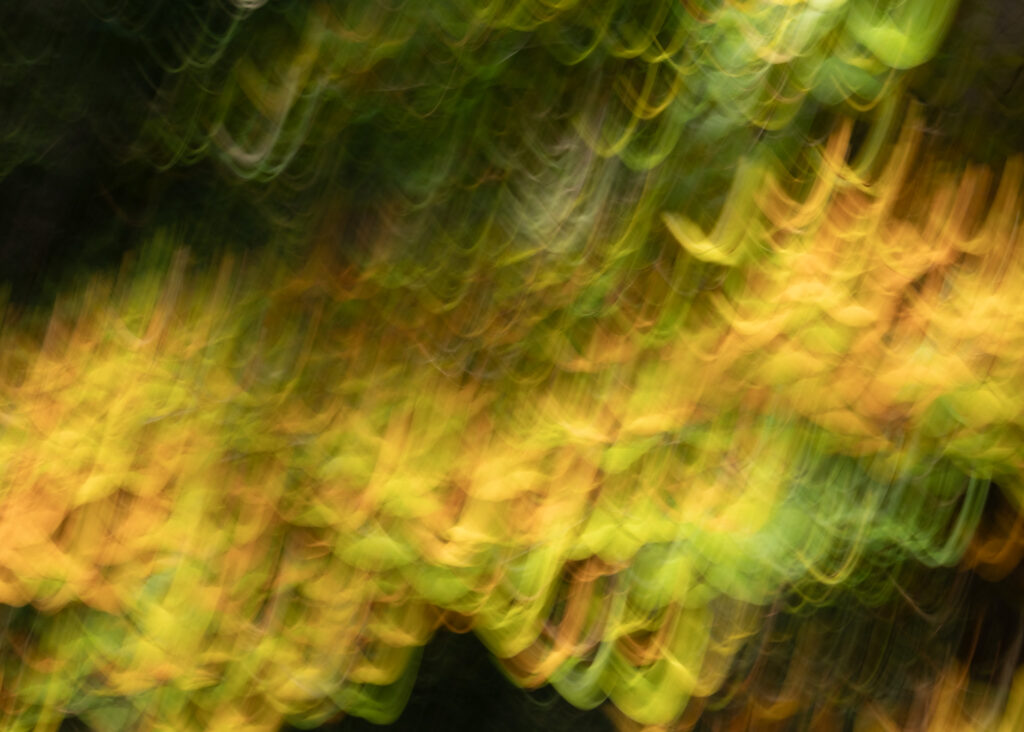 Julia Zimmermann photography ICM