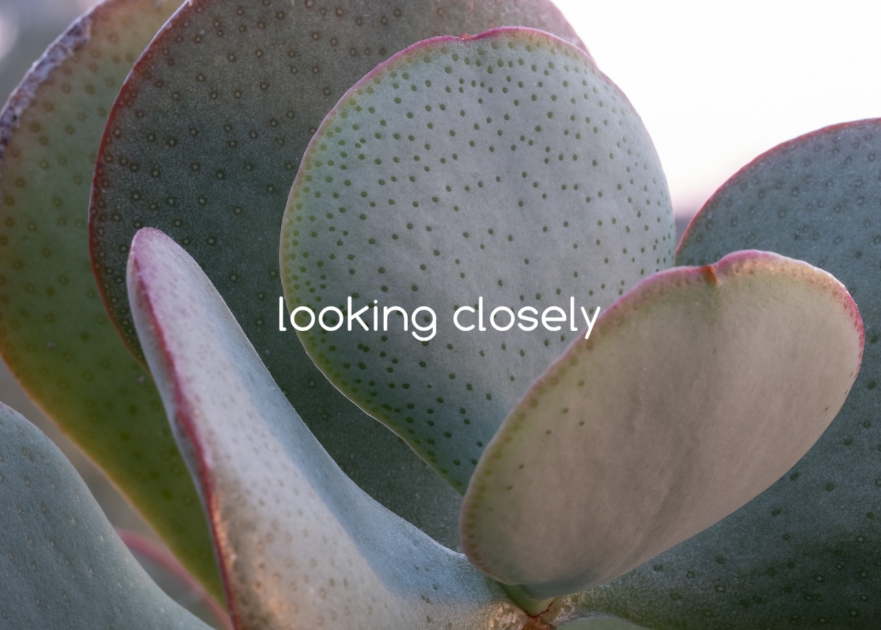 looking closely