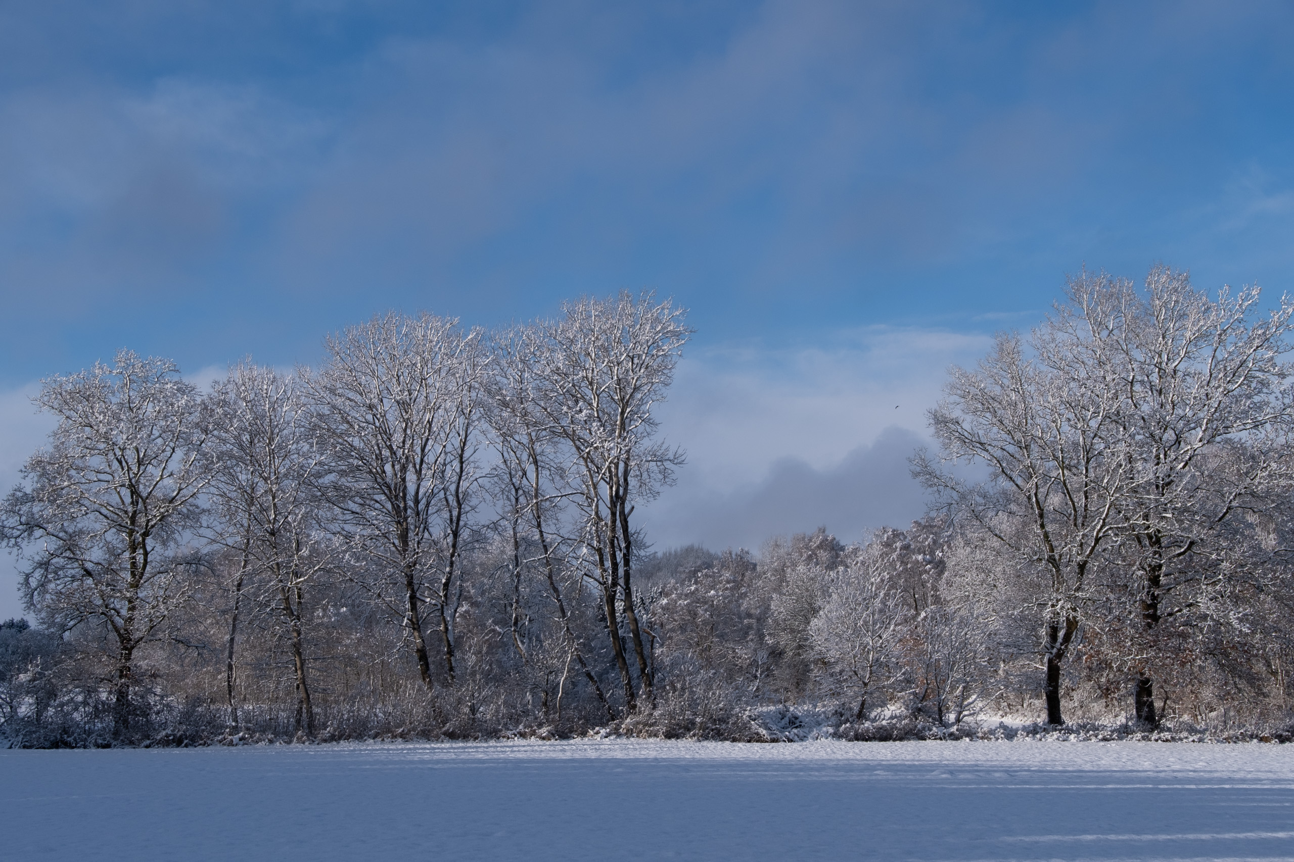 Julia Zimmermann photography winter feat