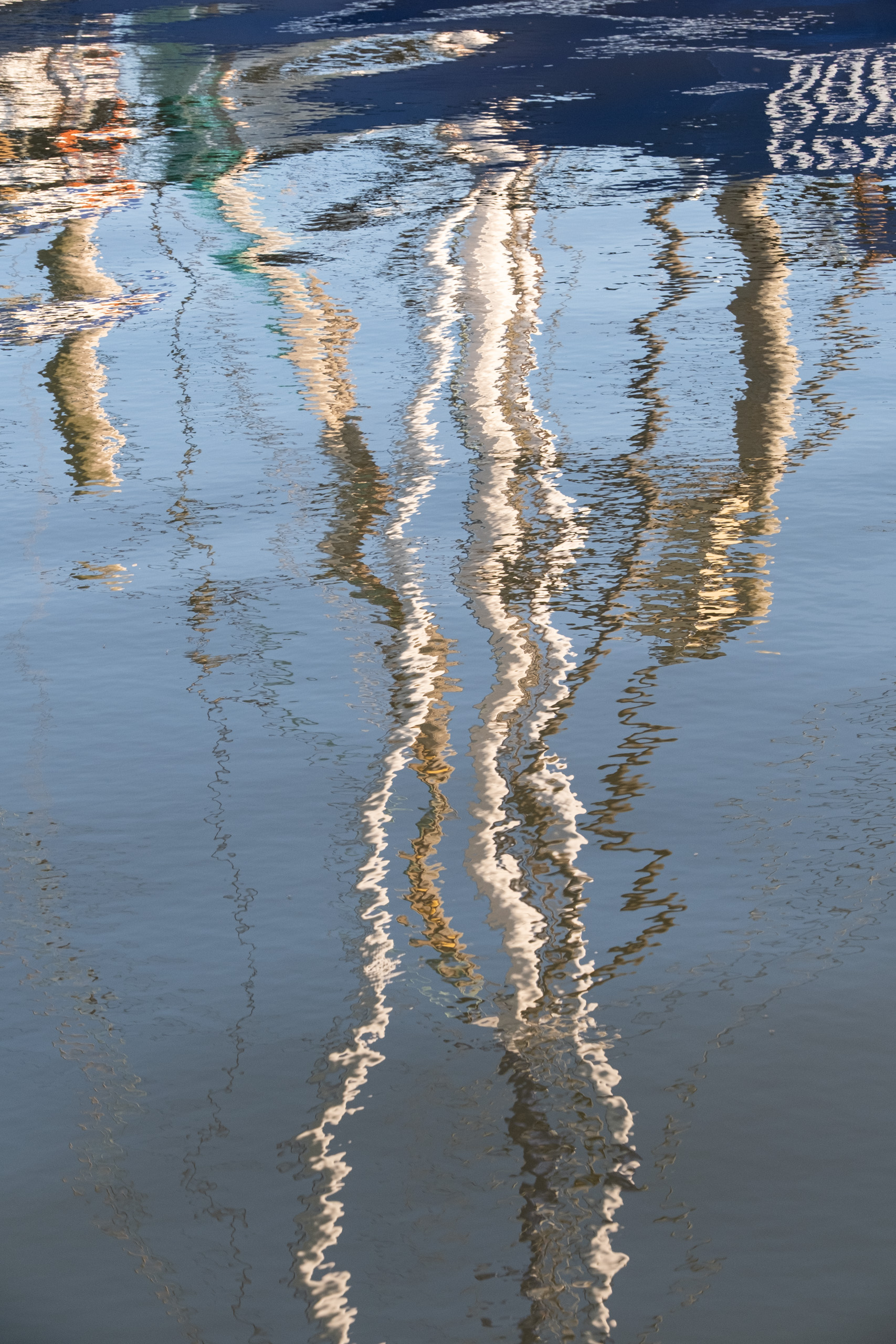 Julia Zimmermann photography reflection