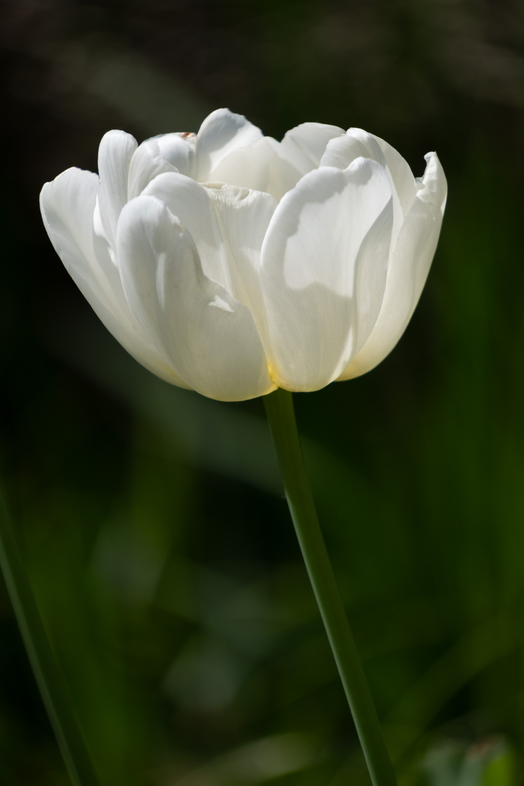 Julia-Zimmermann-photography-slider